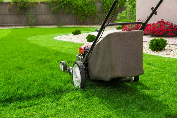 Cost of Home Yard Maintenance in Midland
