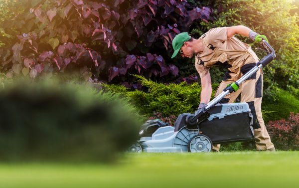 Cost of Yard Care Service in Midland
