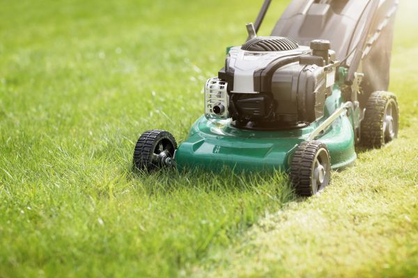 Cost of Yard Cutting in Midland