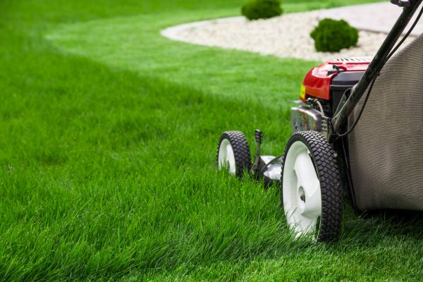 Cost of Yard Maintenance in Midland