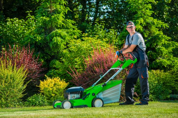 Cost of Yard Work Service in Midland