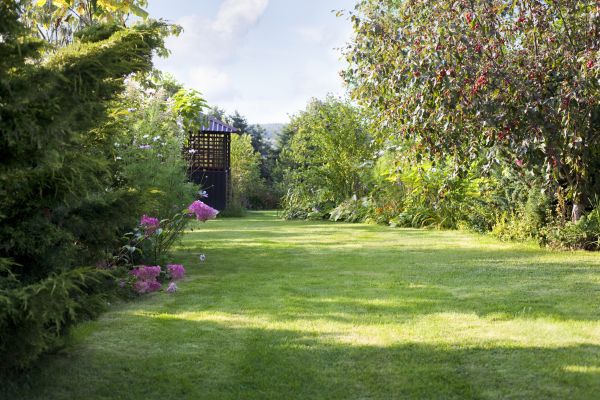 Cost of Yard Upkeep Service in Midland