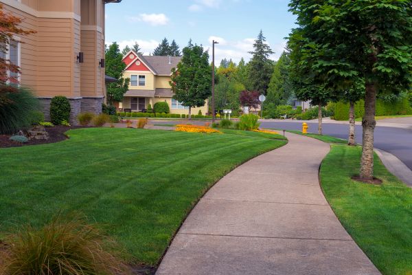 Cost of Home Lawn Maintenance in Midland