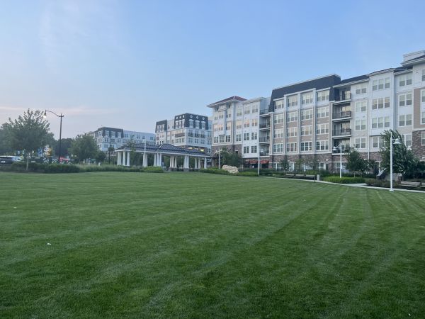 Cost of Urban Lawn Care in Midland