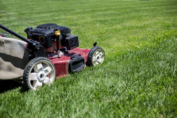 Cost of Routine Lawn Care in Midland