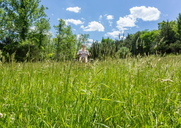 Cost of Long Grass Mowing in Midland