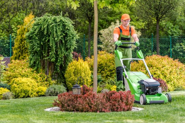 Commercial Yard Maintenance in Midland