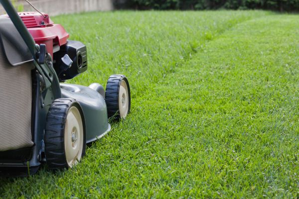 Cost of Summer Lawn Care in Midland