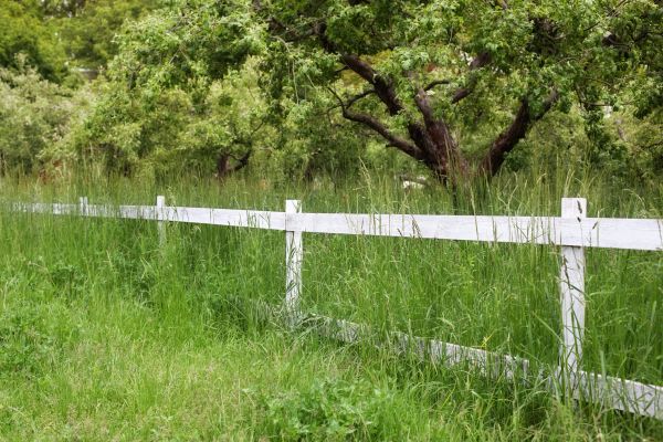Cost of Fence Line Trimming in Midland