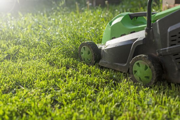 Cost of Yard Trimming in Midland