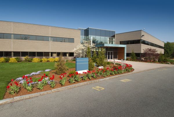 Commercial Groundskeeping in Midland