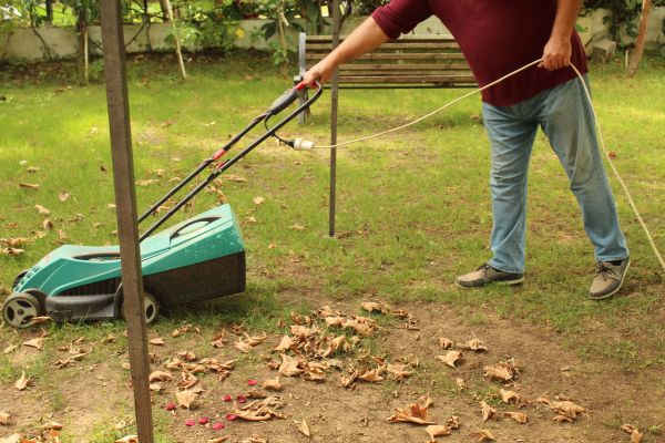 Cost of Leaves Mowing in Midland
