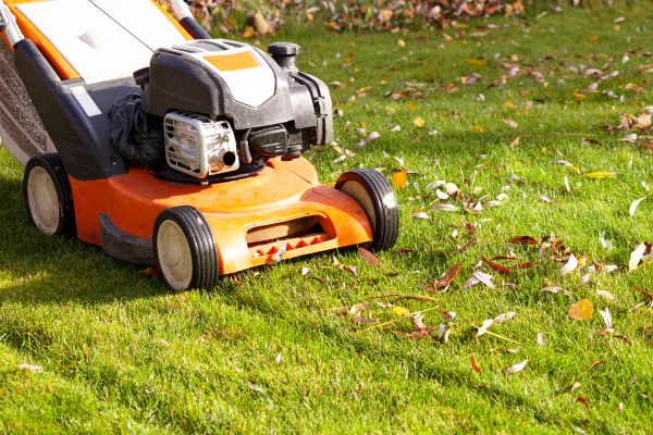 Cost of Fall Mowing in Midland