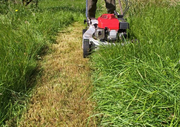 Cost of Leaf Mowing in Midland