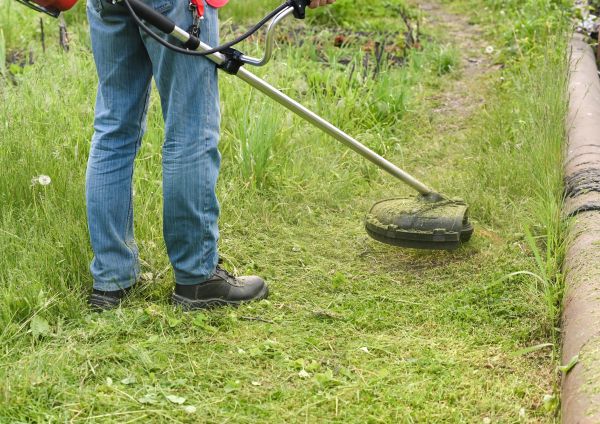 Cost of Tall Grass Trimming in Midland