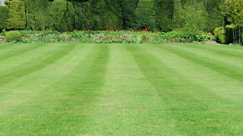 Lawn with Trimmed Borders